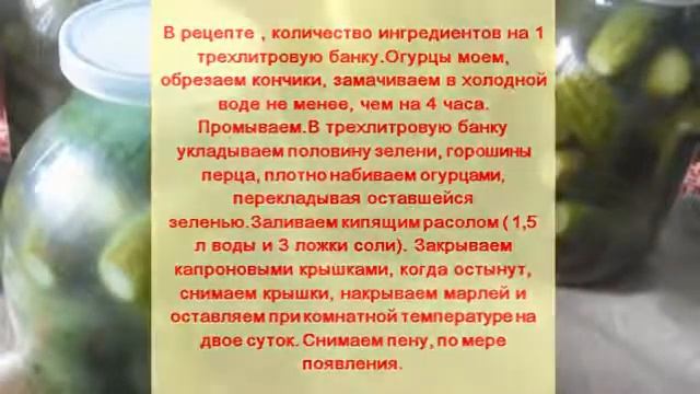 Консервированные Соленые огурцы с сухой горчицей смотреть онлайн