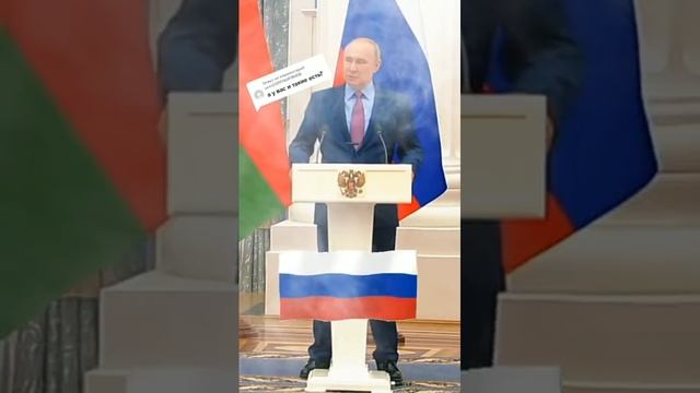 Путин и зеленский прикольные картинки