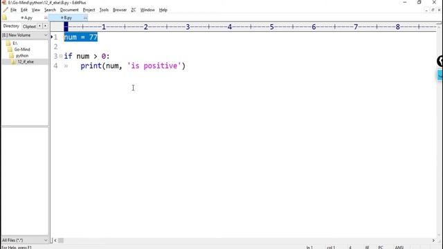 If else in PYTHON - 3 | Part - 1 | Lecture - 40 смотреть онлайн