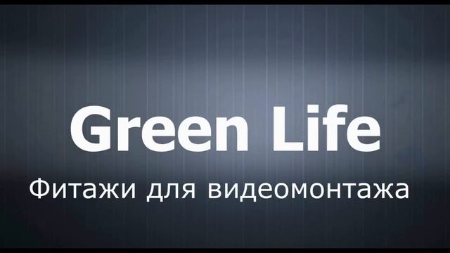 Футаж Нож зеленый фон