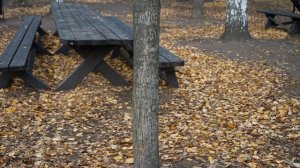 Мистер Вечный Канун ? идеальная книга на осень ? Осторожно, ФЭНТЕЗИ!