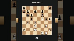 шахматы - это круто