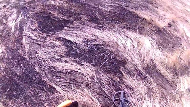 Коп с Квазар АРМ первое золото