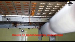 Линия по производству мармелада