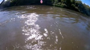 Ловля Голавля и Язя на воблеры. По новым местам или РАЗДАЧА В АВГУСТЕ.