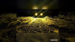 небольшой обзор ангельских глазок, балки и тд на hover h5 для Drive2