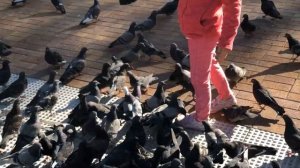 Ангарск. Центр города.