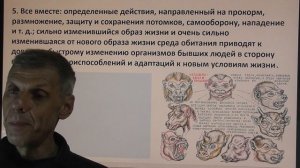 Как правильно деградировать. Основной закон инволюции А. Белов