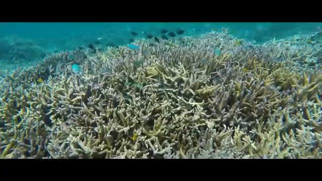 Как самым простым способом улучшить качество воды. смотреть онлайн