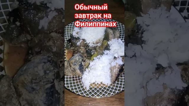 Обычный завтрак на Филиппинах. Тунец в кокосовом молоке и рис. #shortvideo