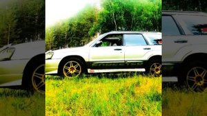 Люби свою Субару)