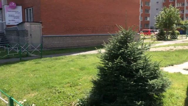 Обзор квартиры Барнаул Лазурная,42 смотреть онлайн