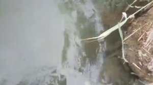 Чограйское водохранилище, второй мост август 2018 года