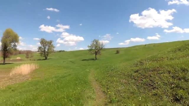Сила подсознания. Как изменить жизнь за месяц.