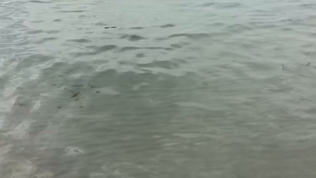 be live experience hamaca обзор отеля в Доминикане БОКА ЧИКА смотреть онлайн