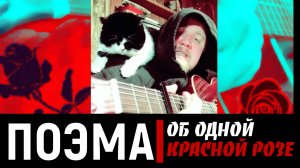 🌹 Поэма об одной красной розе. Авторская баллада. #oblomovblues с котом Мотей и собакой Боем.