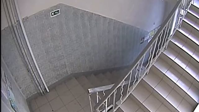 Купольная видеокамера ViDigi DC-603-2812 смотреть онлайн