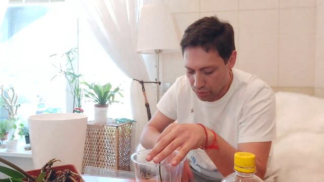 Антуриум Безымянный