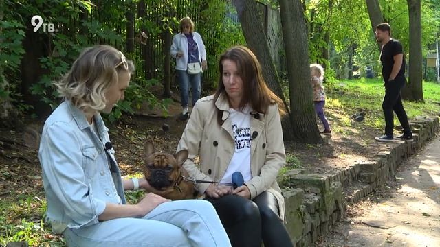 Французские бульдоги пукают? смотреть онлайн