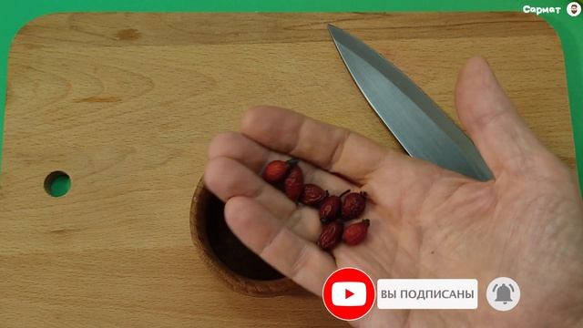 Рецепт приготовления напитка, который прекращает кашель, очищает легкие и укрепляет иммунитет