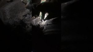 Как открутить резьбу без шляпки болта без возможности просверлить