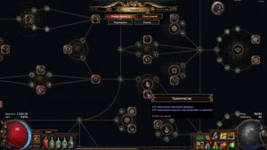 Path of Exile. Как создать свой билд от А до Я. Часть 1. Базовые характеристики.