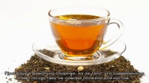 Какой водой поливать комнатные цветы