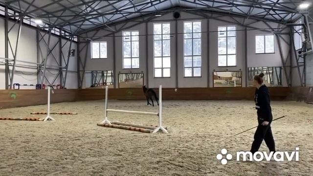 Конный блог. Ставим шпринт. Конкурная тренировка