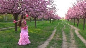 Flamenco Belly Dance Isabella | HD