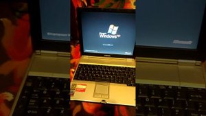 Toshiba Portege M300