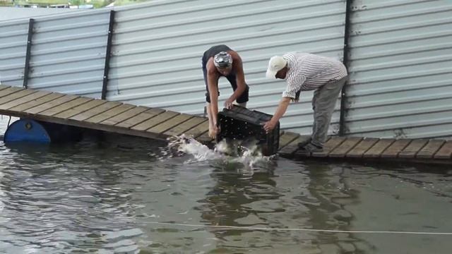 В ЭТОМ ПРУДУ НЕВЕРОЯТНО МНОГО РЫБЫ (ВОТ ЭТА РЫБАЛКА ДОСТУПНА ДЛЯ ТЕБЯ) смотреть онлайн