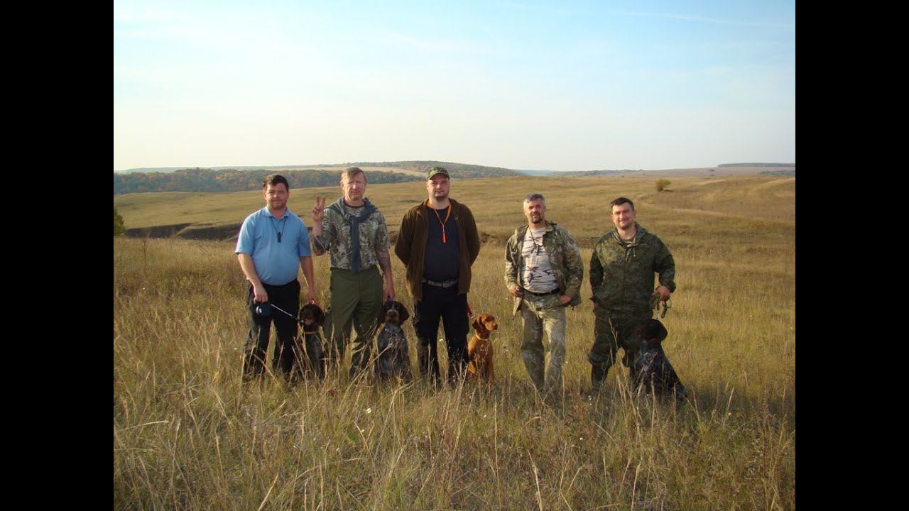 "Азбука натаски" - сюда едут даже с дипломированными собаками! смотреть онлайн