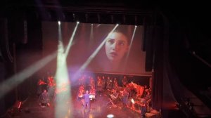 Calikusu Королёк — птичка певчая bn team orchestra