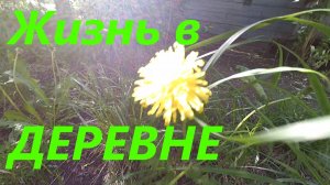 Видео для отдыха || Жизнь в деревне - дом в деревне