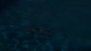 Фигура в синхронном плавании "Винт с вращением"