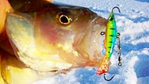 Зимняя рыбалка. Истринское водохранинище.