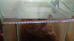 Система фильтрации воды на разводне Внешний фильтр Самп