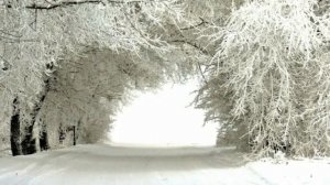 Белым снегом./ Пелагея