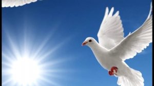 Дух Святой (София Святодух, Свет Софии)