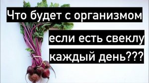 Что будет с организмом, если есть свеклу каждый день?