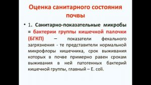 Микрофлора почвы. Микрофлора почвы  в огороде .