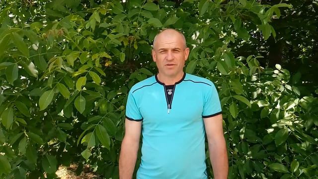 145 сонет Шекспіра переклад Д Паламарчук читає Прощенко Володимир смотреть онлайн