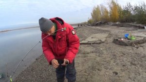 Рыбалка на Язя 2020. Осенний жор рыбы.