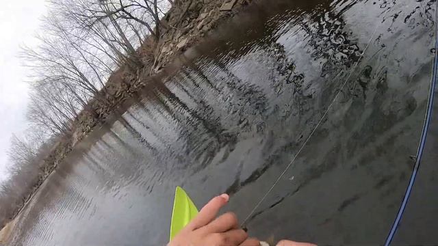 Late Fall Multispecies River Fishing with Berkley Gulp Minnows (easy way to catch cold water fish) смотреть онлайн