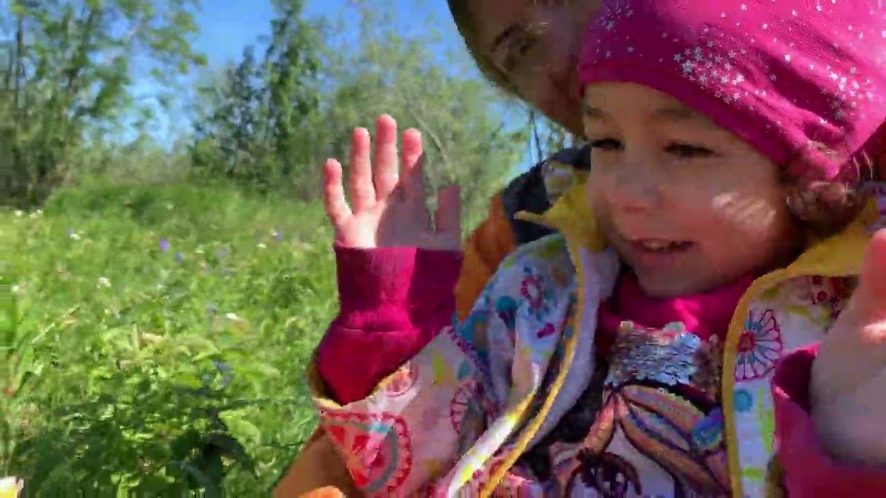 Лето_леса/реки 2022