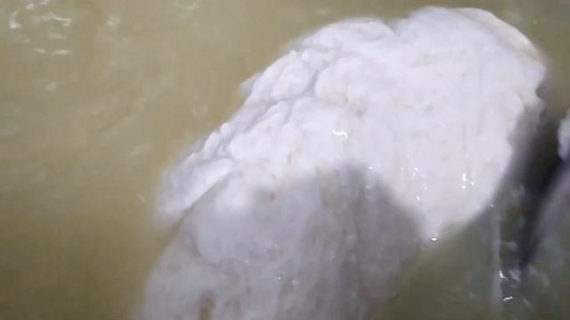 Сыр Моцарелла всего из двух ингредиентов/Mozzarella cheese with just two ingredients