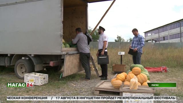 Незаконная придорожная торговля бахчевыми