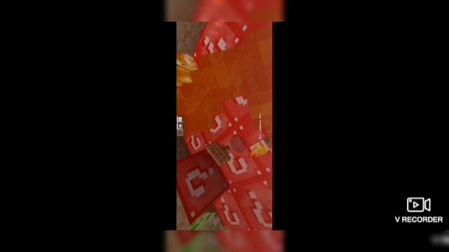 223125_VRecorder.mp4