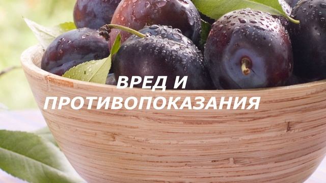 ЧЕРНОСЛИВ.  ДЛЯ ПРОЧНОСТИ КОСТЕЙ И ПРОТИВ ХОЛЕСТЕРИНА А ТАКЖЕ ДЛЯ ПОХУДЕНИЯ.