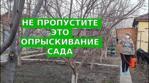 ЧЕМ ОПРЫСКАТЬ САД ВЕСНОЙ? Важная первая обработка + подкормка сада!